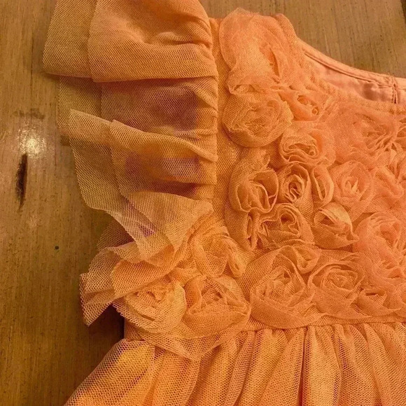 Toddler Tulle Peach Orange Shimmer Rosette Layered Pretty Party Dress NEW  2T - Picture 3 of 13